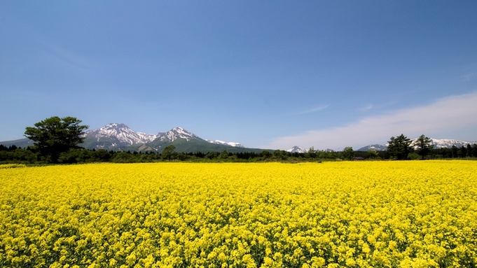 1泊2食＜リブロースステーキ＞ちょっと贅沢なグリル料理と、湯の花舞う源泉掛け流し温泉を楽しむ旅